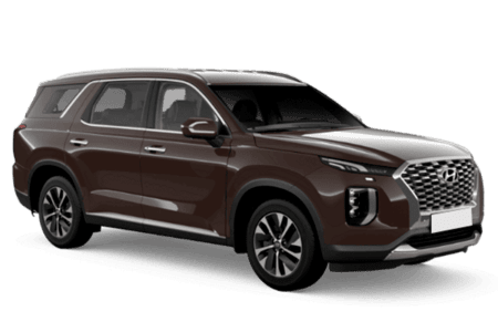 Hyundai Palisade Коричневый